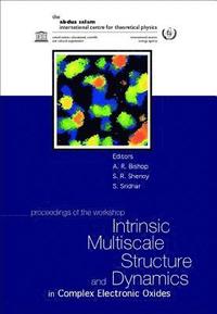 bokomslag Intrinsic Multiscale Structure And Dynamics In Complex Electronic Oxides, Proceedings Of The Workshop