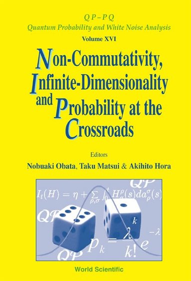 OBATA NOBUAKI, Nobuaki Obata, Taku Matsui, Akihito Hora - NON-COMMUTATIVITY, INFINITE-DIMENSIONALITY AND PROBABILITY AT THE CROSSROADS, PROCS OF THE RIMS WORKSHOP ON INFINITE-DIMENSIONAL ANALYSIS AND QUANTUM PROBABILITY, Inbunden