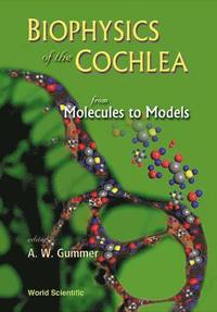bokomslag Biophysics Of The Cochlea: From Molecules To Models - Proceedings Of The International Symposium