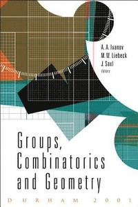 bokomslag Groups, Combinatorics And Geometry