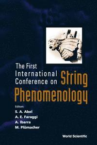 bokomslag String Phenomenology, Proceedings Of The First International Conference