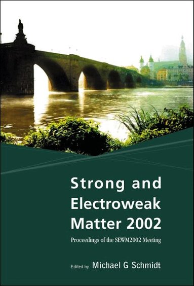 SCHMIDT MICHAEL G, Michael G. Schmidt - STRONG AND ELECTROWEAK MATTER 2002 - PROCEEDINGS OF THE SEWM2002 MEETING, Inbunden