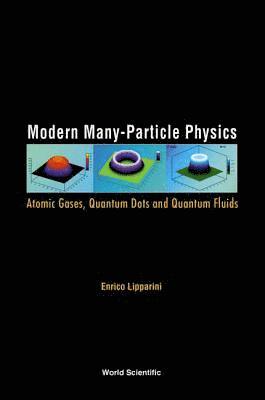 bokomslag Modern Many-particle Physics: Atomic Gases, Quantum Dots And Quantum Fluids