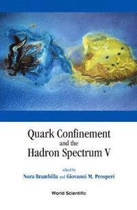 bokomslag Quark Confinement And The Hadron Spectrum V, Proceedings Of The 5th International Conference