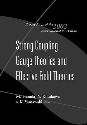 bokomslag Strong Coupling Gauge Theories And Effective Field Theories, Proceedings Of The 2002 International Workshop