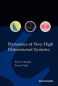 bokomslag Dynamics Of Very High Dimensional Systems