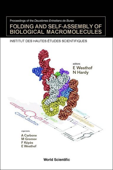 WESTHOF E, E Westhof, N Hardy - FOLDING AND SELF-ASSEMBLY OF BIOLOGICAL MACROMOLECULES - PROCEEDINGS OF THE DEUXIEMES ENTRETIENS DE BURES, Inbunden