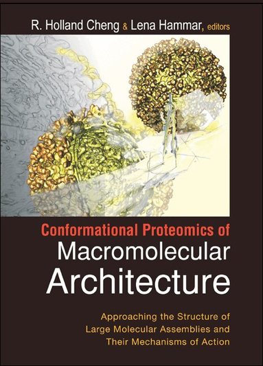 R Holland Cheng, Lena Hammar, R Holland Cheng, Lena Hammar - CONFORMATIONAL PROTEOMICS OF MACROMOLECULAR ARCHITECTURE: APPROACHING THE STRUCTURE OF LARGE MOLECULAR ASSEMBLIES AND THEIR MECHANISMS OF ACTION (WITH CD-ROM), Häftad