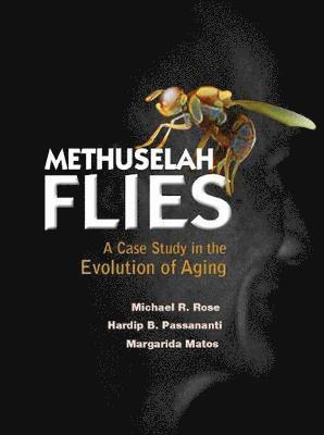 bokomslag Methuselah Flies: A Case Study In The Evolution Of Aging
