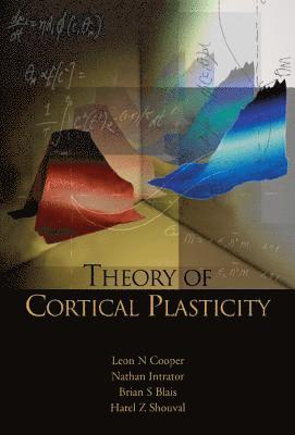 bokomslag Theory Of Cortical Plasticity