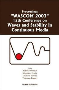 bokomslag Waves And Stability In Continuous Media - Proceedings Of The 12th Conference On Wascom 2003