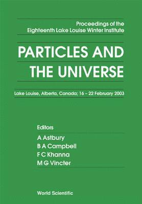 ASTBURY A, Alan Astbury, Bruce A Campbell, Faqir C Khanna, Manuella G Vincter, Bruce A. Campbell - Particles And The Universe - Proceedings Of The Eighteenth Lake Louise Winter Institute, Inbunden