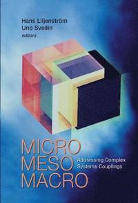 bokomslag Micro Meso Macro: Addressing Complex Systems Couplings