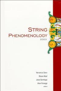 bokomslag String Phenomenology 2003, Proceedings Of The 2nd International Conference