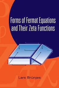 bokomslag Forms Of Fermat Equations And Their Zeta Functions