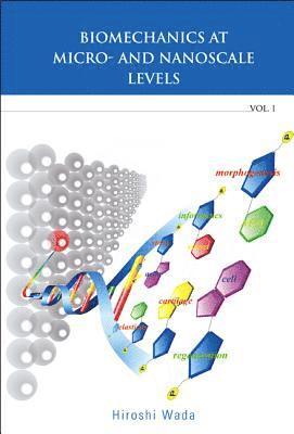 bokomslag Biomechanics At Micro- And Nanoscale Levels - Volume I