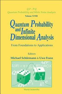 bokomslag Quantum Probability And Infinite Dimensional Analysis: From Foundations To Appllications