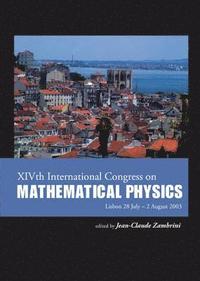 bokomslag Xivth International Congress On Mathematical Physics