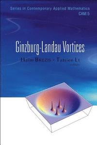 bokomslag Ginzburg-landau Vortices