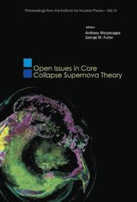 bokomslag Open Issues In Core Collapse Supernova Theory