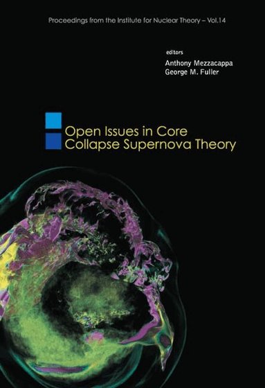MEZZACAPPA ANTHONY, Anthony Mezzacappa, George M Fuller - OPEN ISSUES IN CORE COLLAPSE SUPERNOVA THEORY, Inbunden