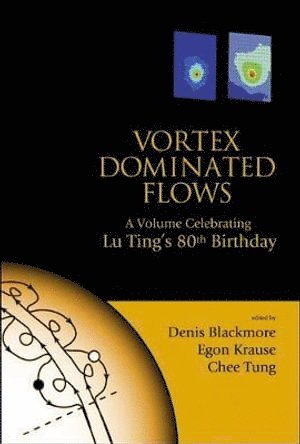 BLACKMORE DENIS, Denis Blackmore, Egon Krause, Chee Tung, Usa) Blackmore, Denis (New Jersey Inst Of Technology, Germany) Krause, Egon (Aerodynamisches Inst, Usa) Tung, Chee (Ames Res Ctr - Vortex Dominated Flows: A Volume Celebrating Lu Ting's 80th Birthday, Inbunden