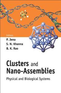 bokomslag Clusters And Nano-assemblies: Physical And Biological Systems