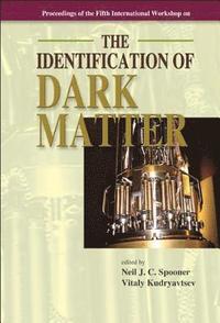bokomslag Identification of Dark Matter, the - Proceedings of the Fifth International Workshop