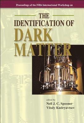 bokomslag Identification of Dark Matter, the - Proceedings of the Fifth International Workshop