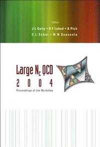 bokomslag Large Nc Qcd 2004 - Proceedings Of The Workshop