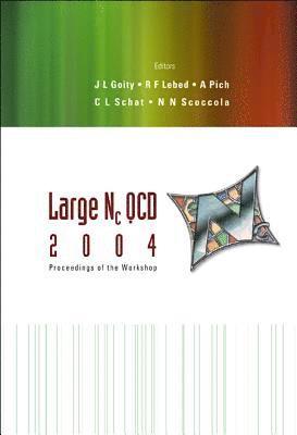 bokomslag Large Nc Qcd 2004 - Proceedings Of The Workshop
