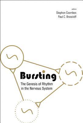 bokomslag Bursting: The Genesis Of Rhythm In The Nervous System