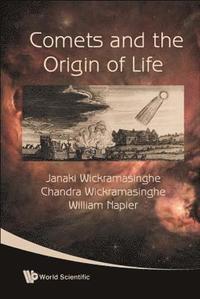 bokomslag Comets And The Origin Of Life