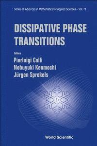 bokomslag Dissipative Phase Transitions