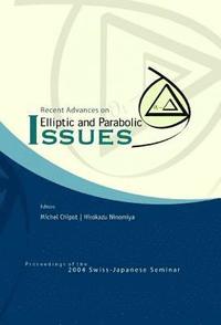 bokomslag Recent Advances On Elliptic And Parabolic Issues - Proceedings Of The 2004 Swiss-japanese Seminar