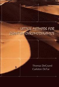 bokomslag Lattice Methods For Quantum Chromodynamics