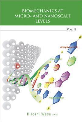 bokomslag Biomechanics At Micro- And Nanoscale Levels - Volume Ii