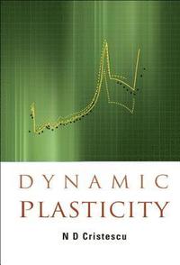 bokomslag Dynamic Plasticity