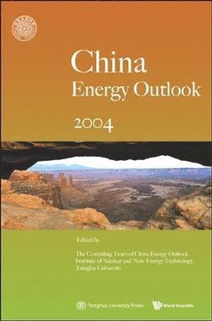 bokomslag China's Energy Outlook 2004