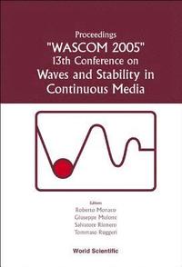 bokomslag Waves And Stability In Continuous Media - Proceedings Of The 13th Conference On Wascom 2005