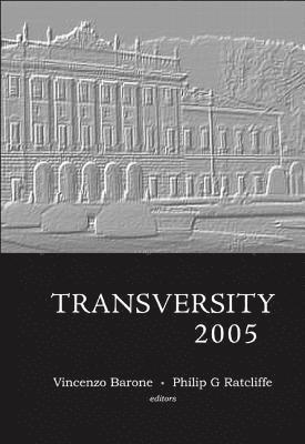 bokomslag Transversity 2005