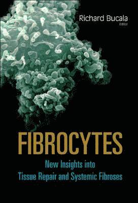 bokomslag Fibrocytes: New Insights Into Tissue Repair And Systemic Fibroses