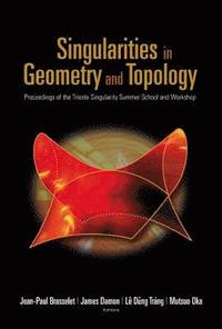 bokomslag Singularities In Geometry And Topology - Proceedings Of The Trieste Singularity Summer School And Workshop