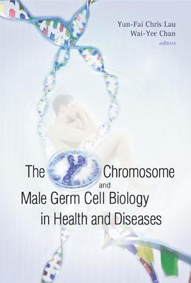 LAU YUN-FAI CHRIS, Chris Yun-fai Lau, Wai-yee Chan, Chris Yun-Fai Lau, Wai-Yee Chan - Y Chromosome And Male Germ Cell Biology In Health And Diseases, The, Inbunden