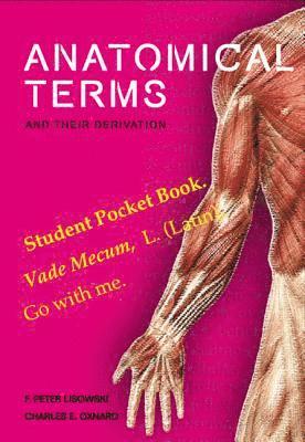 Anatomical Terms And Their Derivation 1