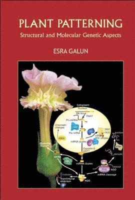 Esra Galun, Israel) Galun, Esra (Weizmann Inst Of Sci, GALUN ESRA - Plant Patterning: Structural And Molecular Genetic Aspects, Inbunden
