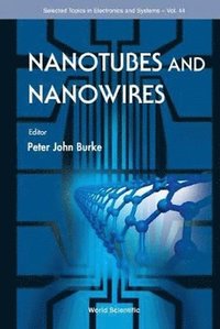 bokomslag Nanotubes And Nanowires