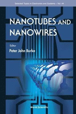 bokomslag Nanotubes And Nanowires