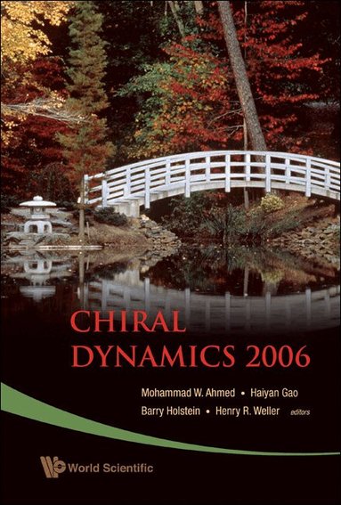 AL MOHAMMAD W AHMED ET, Mohammad W Ahmed, Haiyan Gao, Henry R Weller, Barry Holstein - CHIRAL DYNAMICS 2006 - PROCEEDINGS OF THE 5TH INTERNATIONAL WORKSHOP ON CHIRAL DYNAMICS, THEORY AND EXPERIMENT, Inbunden