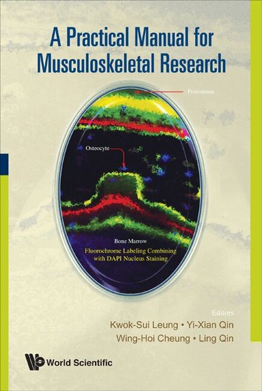 Kwok Sui Leung, Ling Qin, Wing Hoi Cheung, Kwok-Sui Leung, Yi-Xian Qin, Wing-Hoi Cheung, Ling Qin - PRACTICAL MANUAL FOR MUSCULOSKELETAL RESEARCH, A, Inbunden